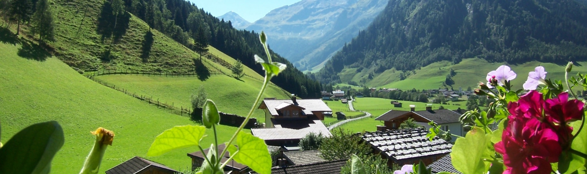 Ausblick Pension Sonnblickhof