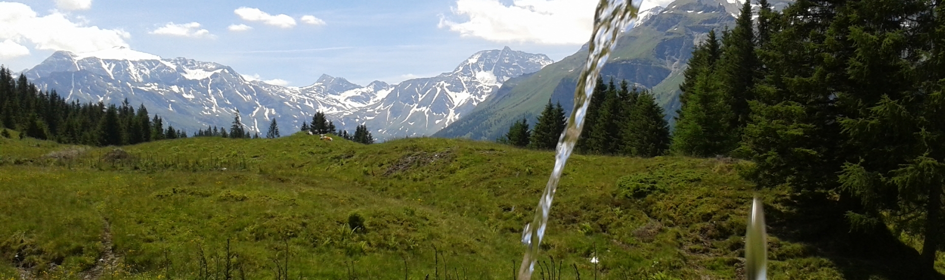 Brunntrog Sonnblick