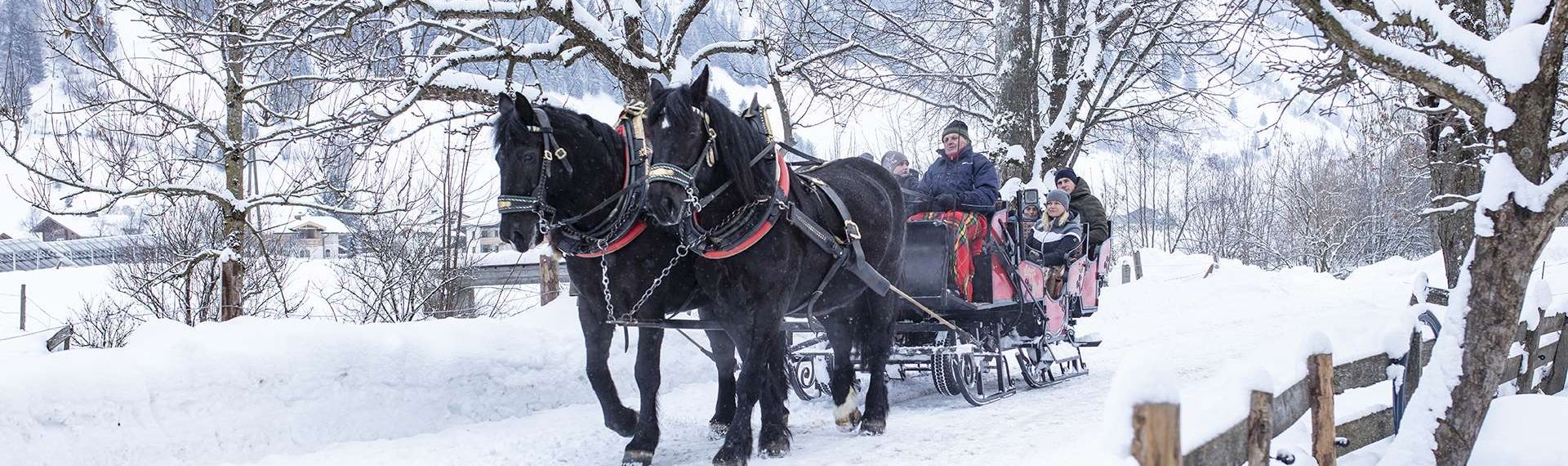 PferdeschlittenfahrtCTVB Rauris Fotograf Florian Bachmeier