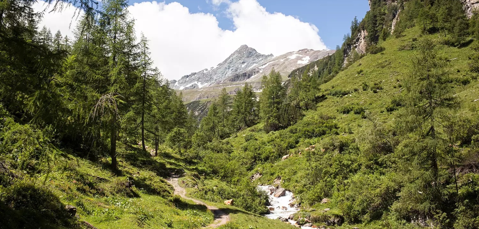 Die Spronser Seen C Tv Dorf Tirol Hotel Golserhof