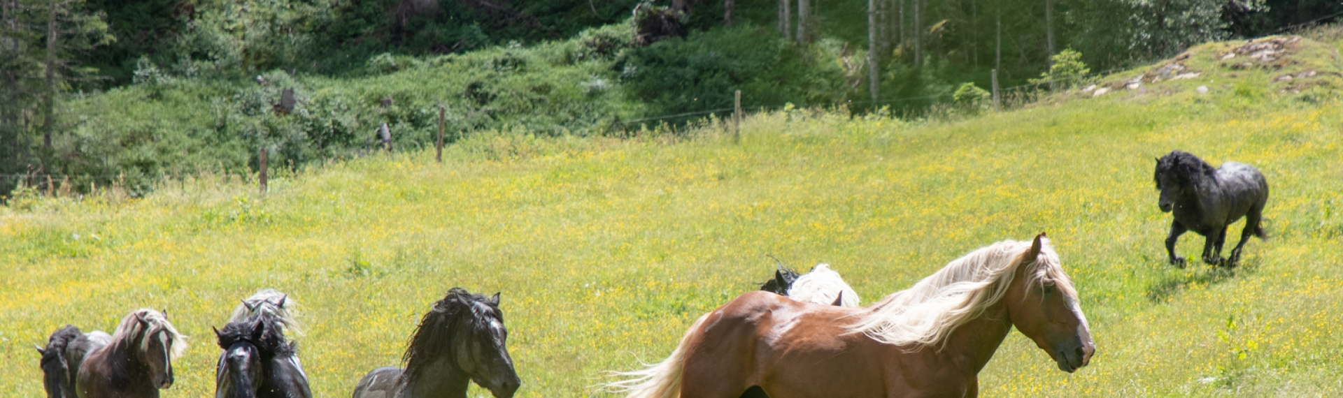  Gruber Tvb Rauris069